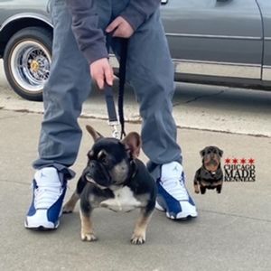 Meet your Posher, Gabriela